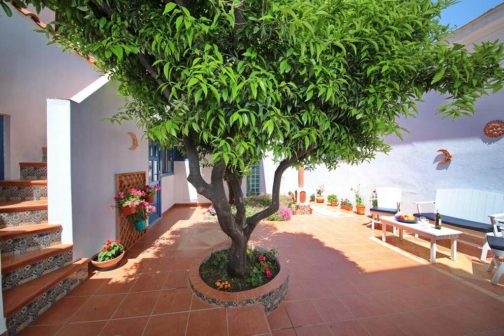 Philoxenia Guest House 斯科派洛斯 外观 照片