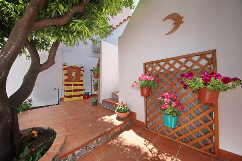 Philoxenia Guest House 斯科派洛斯 外观 照片